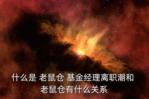 什么是 老鼠倉 基金經(jīng)理離職潮和 老鼠倉有什么關系