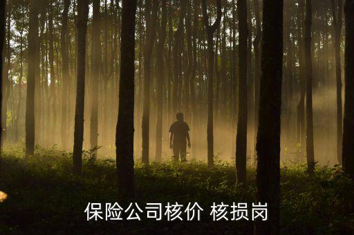 人傷核損崗怎么樣,人傷保險(xiǎn)公司很需要這個理賠人才