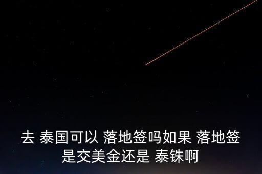 去 泰國(guó)可以 落地簽嗎如果 落地簽是交美金還是 泰銖啊