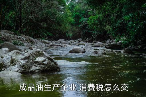 成品油消費(fèi)稅怎么交,政府將從今年頭九個月收集消費(fèi)稅