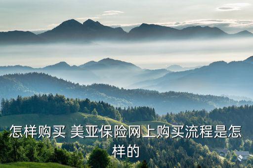 美亞保險(xiǎn)怎么報(bào)險(xiǎn),春運(yùn)如何購買保險(xiǎn)?可在線投保、索賠