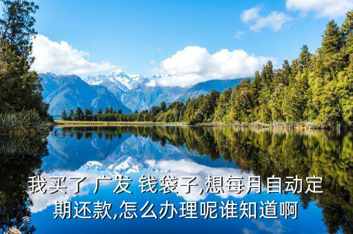 廣發(fā)錢袋子怎么買,廣發(fā)錢袋子網上交易功能需注意什么?