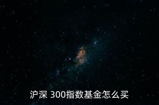 滬深 300指數基金怎么買