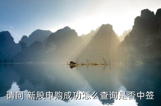怎么查打新股是否中標(biāo),新股買賣日將有哪些重點?