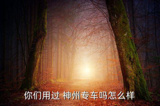你們用過(guò) 神州專(zhuān)車(chē)嗎怎么樣