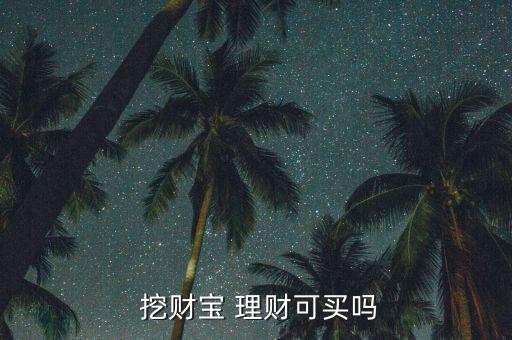  挖財(cái)寶 理財(cái)可買(mǎi)嗎