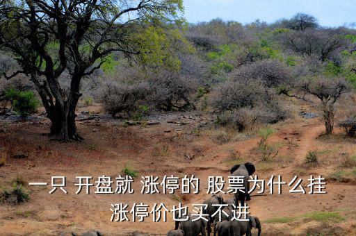 開(kāi)盤漲停股票怎么買到,漲停板開(kāi)了也可以買嗎?