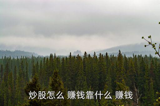 美國個(gè)人炒股怎么賺錢,美股堅(jiān)毅向前預(yù)測