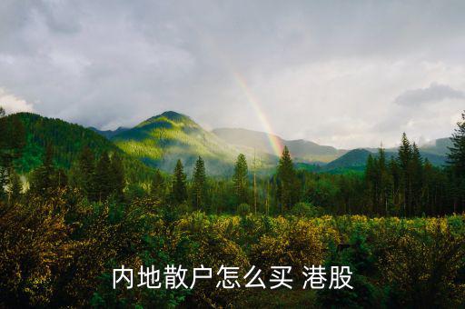 內(nèi)地散戶(hù)怎么買(mǎi) 港股