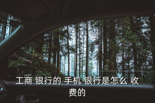 工行手機(jī)銀行怎么收費,定制余額變動短信提醒收費3元/月/卡
