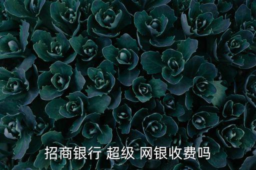 招行超級網銀怎么開通,超級網銀轉他行賬戶招行
