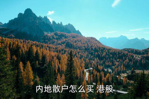 內(nèi)地散戶怎么買(mǎi) 港股