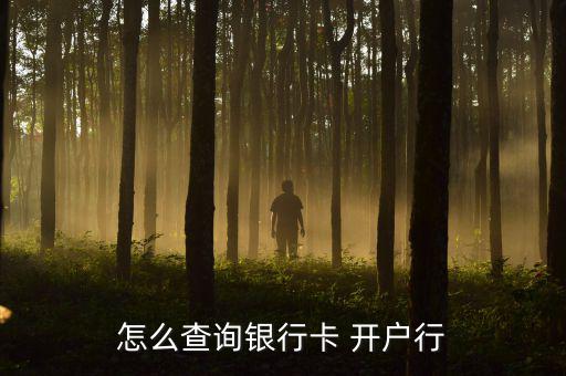 怎么查詢(xún)銀行卡 開(kāi)戶(hù)行