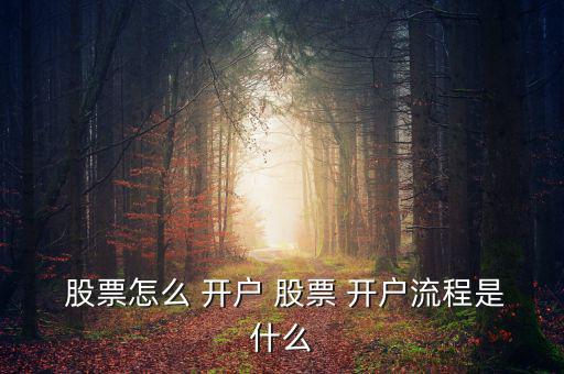  股票怎么 開(kāi)戶 股票 開(kāi)戶流程是什么