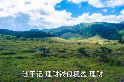  隨手記 理財(cái)錢(qián)包穩(wěn)盈 理財(cái)