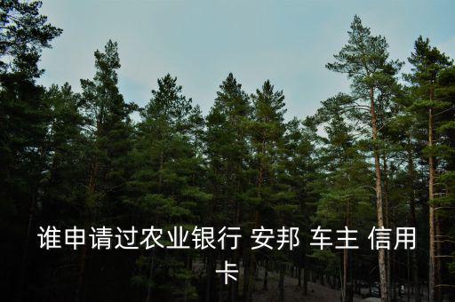 誰申請(qǐng)過農(nóng)業(yè)銀行 安邦 車主 信用卡