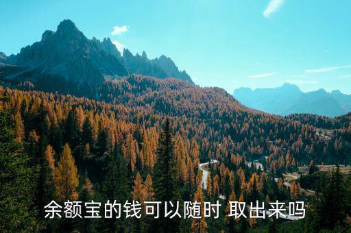 余額寶的錢(qián)可以隨時(shí) 取出來(lái)嗎