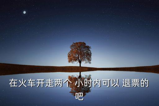 在火車(chē)開(kāi)走兩個(gè) 小時(shí)內(nèi)可以 退票的吧