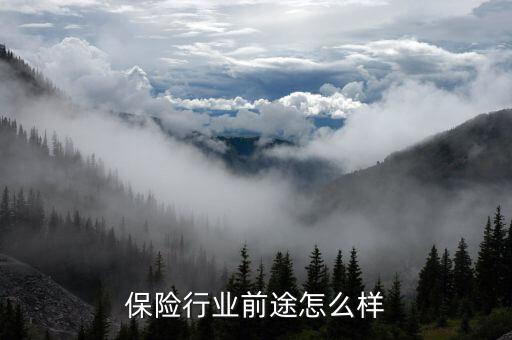 跑保險(xiǎn)這個(gè)行業(yè)怎么樣,保險(xiǎn)業(yè)前途無量國人保險(xiǎn)意識(shí)提高