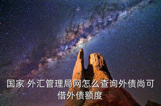 國家 外匯管理局網怎么查詢外債尚可借外債額度