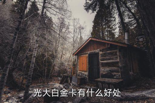 光大微稅聯(lián)白金卡有什么好處，光大銀行白金卡的好處我提供本人的100平以上的房產(chǎn)證和作為法人