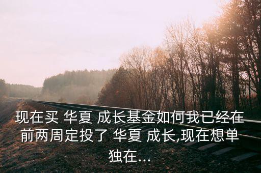 現(xiàn)在買(mǎi) 華夏 成長(zhǎng)基金如何我已經(jīng)在前兩周定投了 華夏 成長(zhǎng),現(xiàn)在想單獨(dú)在...