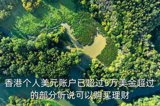 美元在香港投資什么比較好，香港個(gè)人美元賬戶(hù)已超過(guò)5萬(wàn)美金超過(guò)的部分聽(tīng)說(shuō)可以購(gòu)買(mǎi)理財(cái)