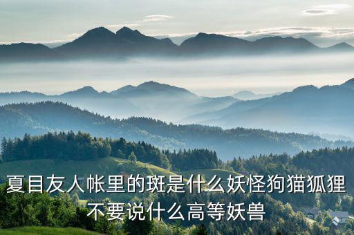 什么是棄風(fēng)限電，什么是理想非極化電極