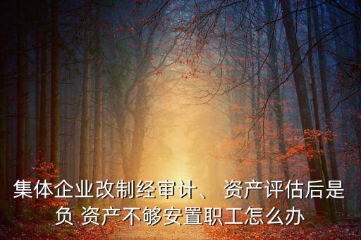 集體企業(yè)改制經(jīng)審計、 資產(chǎn)評估后是負(fù) 資產(chǎn)不夠安置職工怎么辦