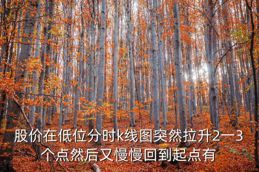 低位反彈之后加速拉升什么情況，股價在低位分時k線圖突然拉升2一3個點然后又慢慢回到起點有