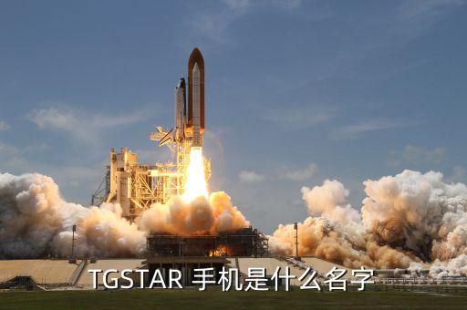 周鴻t手機牌子是什么，T型的手機是什么牌子
