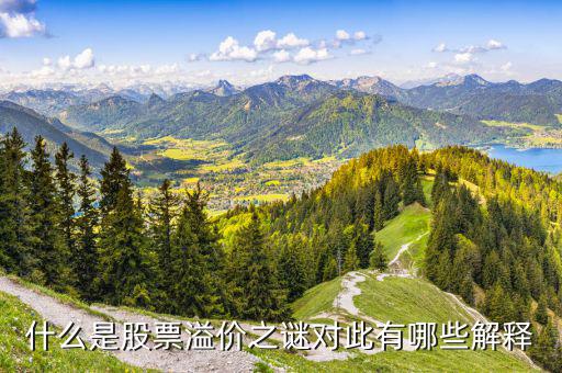 股票溢價(jià)是什么意思，什么是股票溢價(jià)之謎對此有哪些解釋