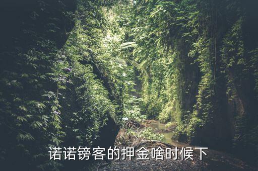 諾諾鎊客里的收本金額是什么，諾諾鎊客的押金啥時(shí)候下