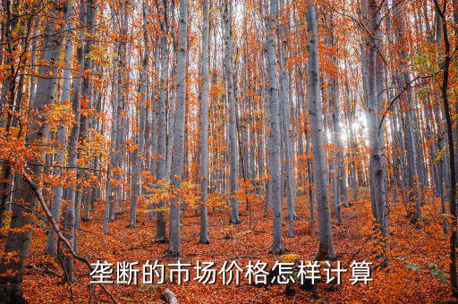 怎么算壟斷,壟斷利潤主要通過壟斷機構(gòu)設定價格來實現(xiàn)