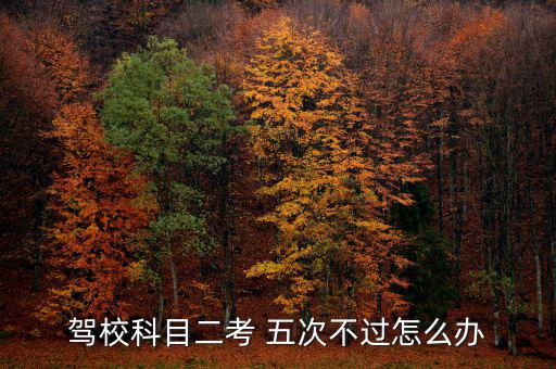 駕?？颇慷?五次不過怎么辦