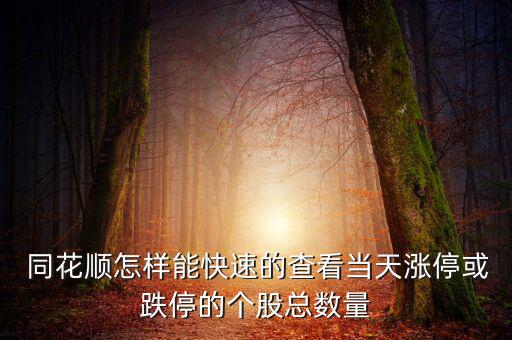  同花順怎樣能快速的查看當天漲?；虻５膫€股總數(shù)量