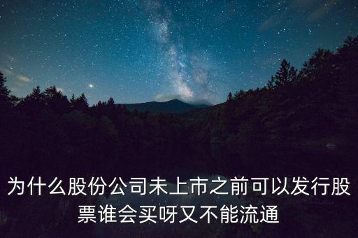 為什么股份公司未上市之前可以發(fā)行股票誰(shuí)會(huì)買(mǎi)呀又不能流通