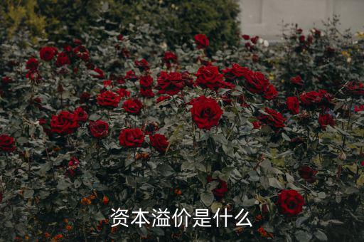 什么是溢價，什么是資本溢價