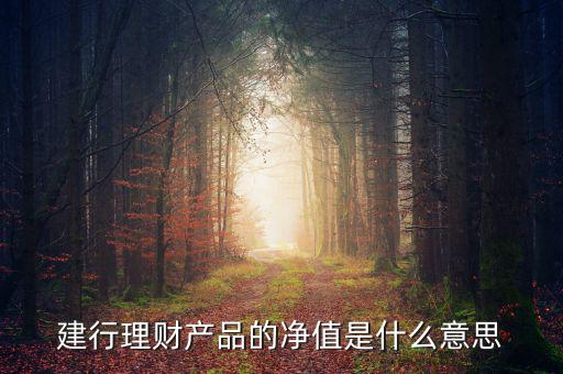 凈值類(lèi)理財(cái)產(chǎn)品什么意思，什么是凈值型理財(cái)產(chǎn)品