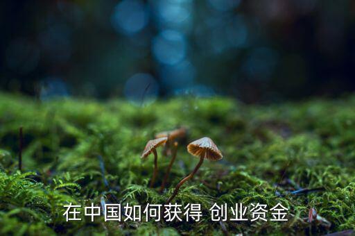 中國(guó)怎么創(chuàng)業(yè),創(chuàng)業(yè)、小企業(yè)怎么做?