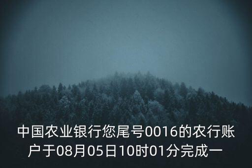 中國農(nóng)業(yè)銀行您尾號0016的農(nóng)行賬戶于08月05日10時(shí)01分完成一