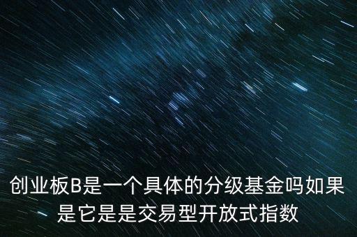 創(chuàng)業(yè)板B是一個具體的分級基金嗎如果是它是是交易型開放式指數