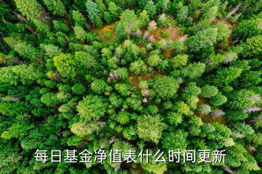 基金凈值什么時(shí)候更新，工商銀行網(wǎng)上銀行基金多長時(shí)間更新一次