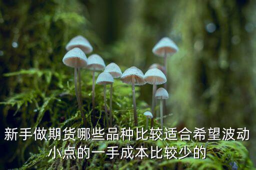 兩萬能做期貨什么品種，我用兩萬做商品期貨