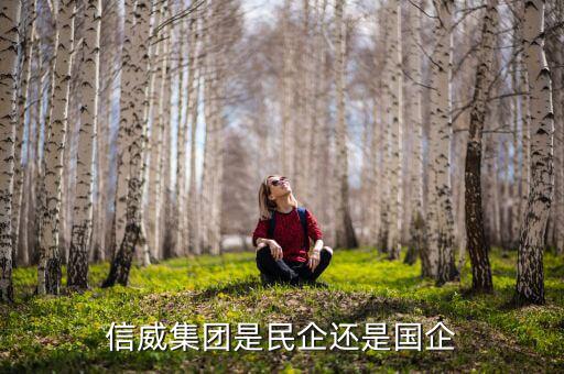 信威集團(tuán)是什么公司，信威集團(tuán)是民企還是國企