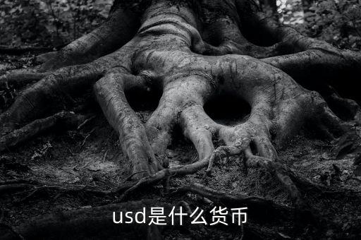 usd什么貨幣，什么是USD
