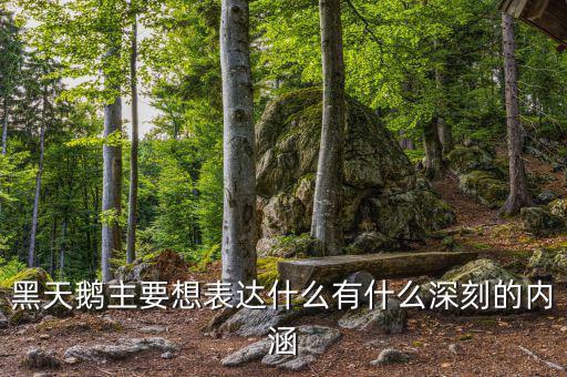 黑天鵝書(shū)說(shuō)的是什么，黑天鵝主要想表達(dá)什么有什么深刻的內(nèi)涵