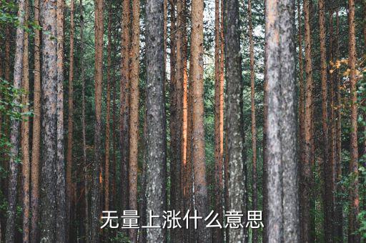 底部無(wú)量上漲說(shuō)明什么，無(wú)量上漲什么意思
