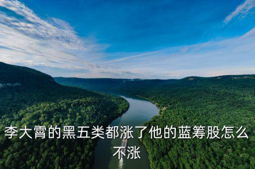 藍籌股為什么不漲，李大霄的黑五類都漲了他的藍籌股怎么不漲