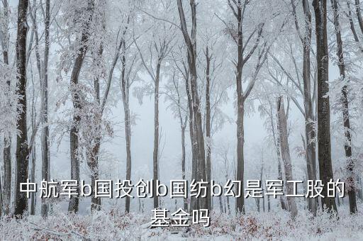 國創(chuàng)投b是什么基金，請教創(chuàng)業(yè)b是私募基金嗎屬于清盤對象嗎